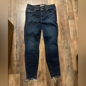 Torrid Skinny Jeans